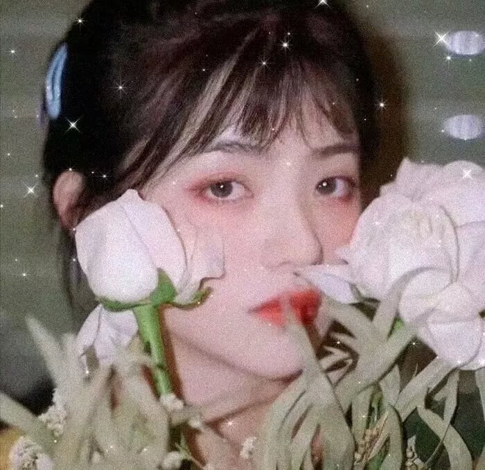 断肠草